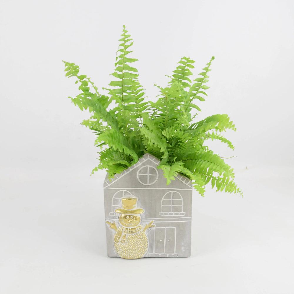 Boston Fern 12cm Snowman House Concrete Pot