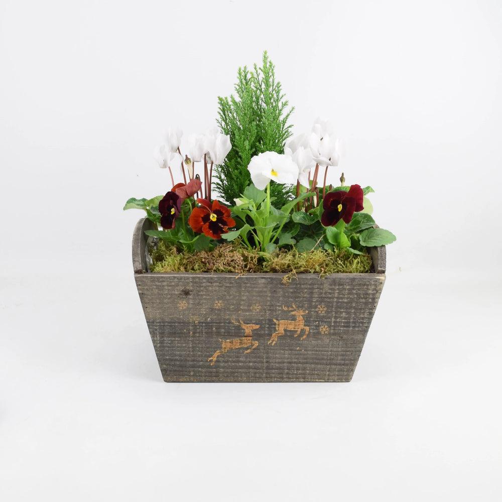 Christmas Outdoor Planted Wooden Reindeer Trough Plants By Post