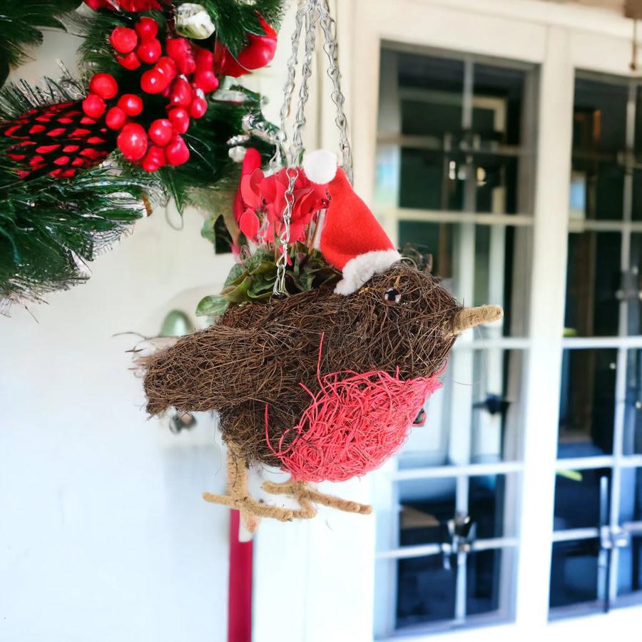 Robin Christmas Hanging Basket with Red Cyclamen Gift