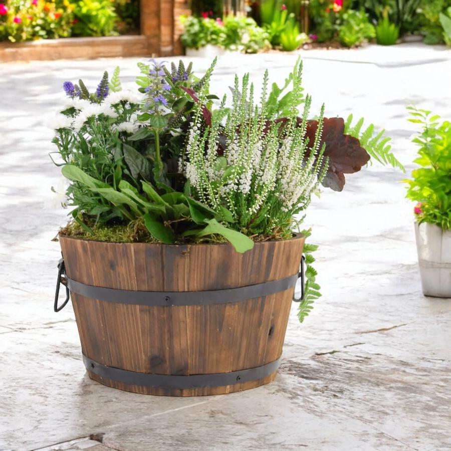 Seasonal Planted Wooden Barrel 30cm Plants By Post