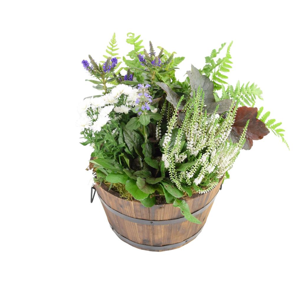 Seasonal Planted Wooden Barrel 30cm Plants By Post