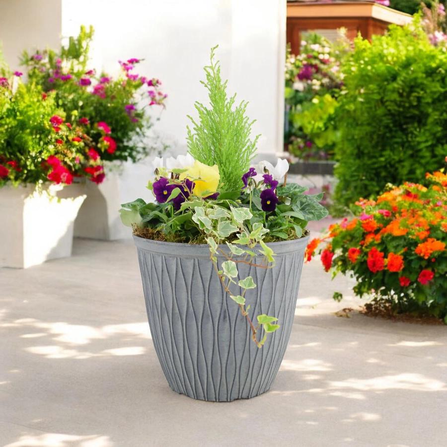 Seasonal Planted Container In 26cm Pot Plants By Post