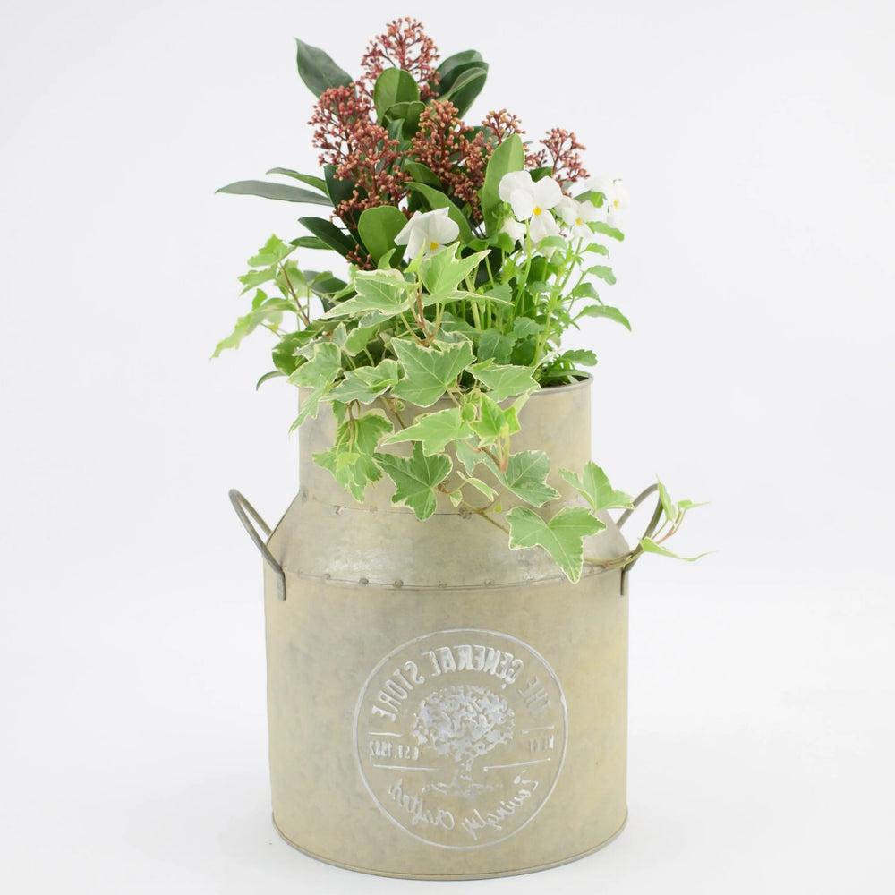 Autumn Outdoor Milk Churn Planter plants by post