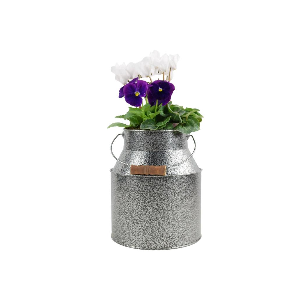 Seasonally Planted Hammered Grey Churn plants by post