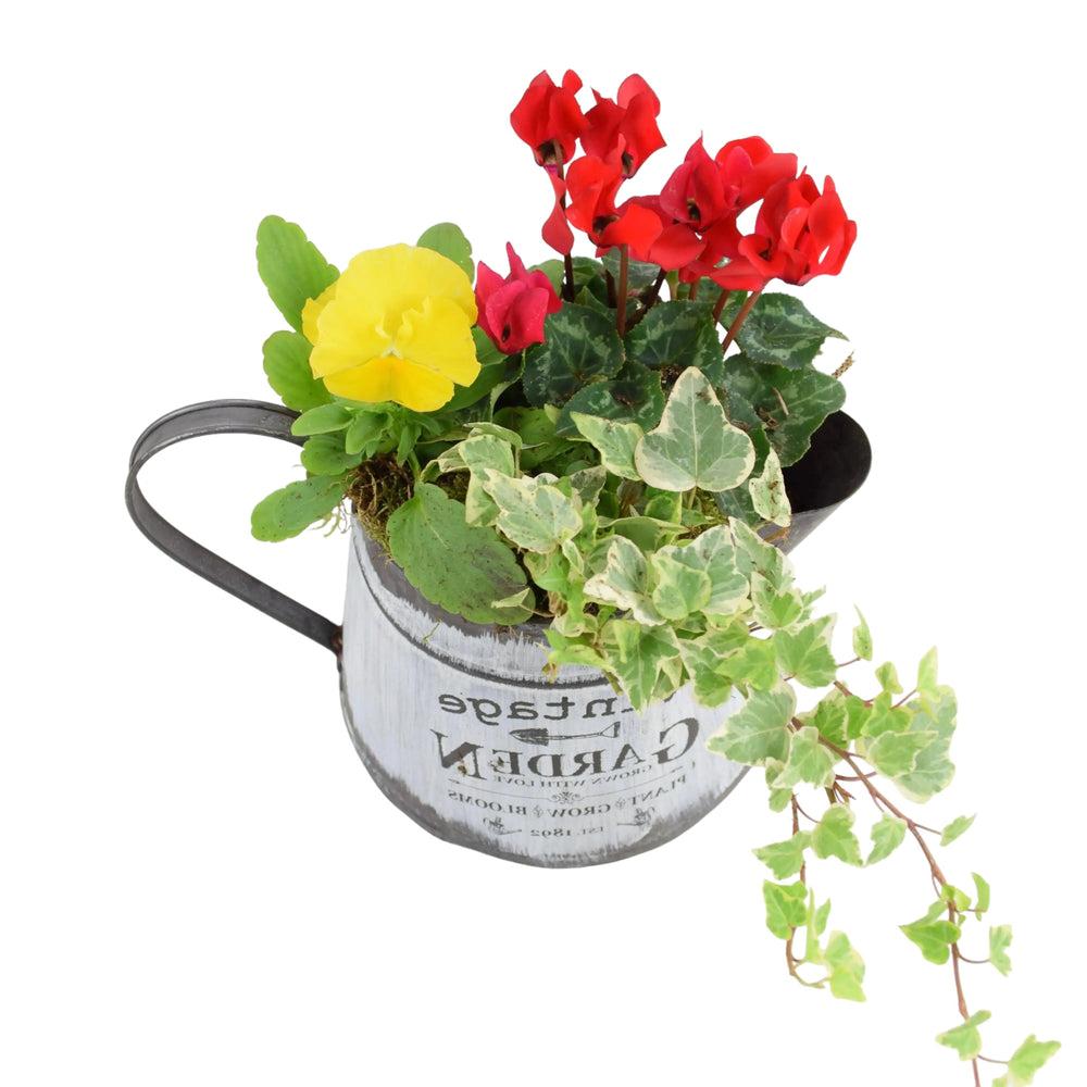 Seasonal Vintage Jug Planter Plants By Post