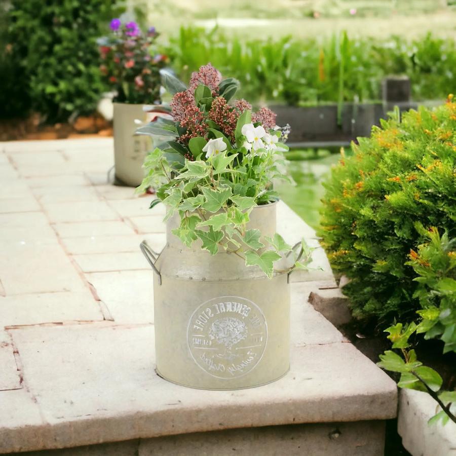 Autumn Outdoor Milk Churn Planter plants by post