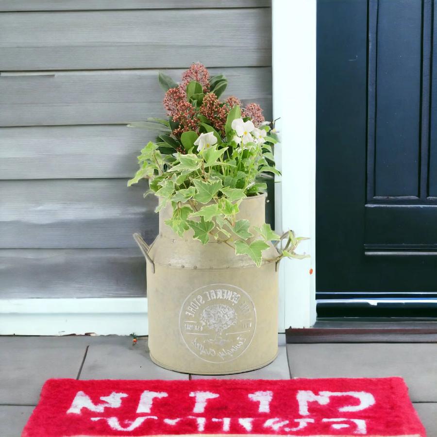 23cm Festive Outdoor Milk Churn Planter