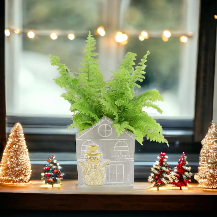 Boston Fern 12cm Snowman House Concrete Pot