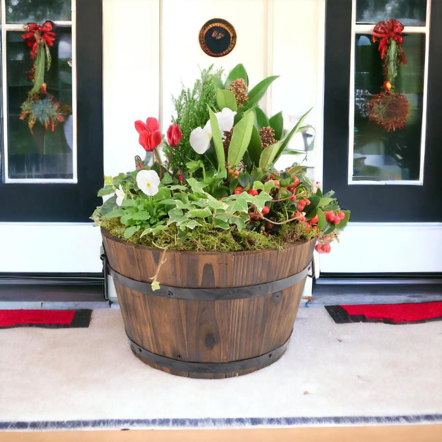 Festive Planted Wooden Barrel 30cm