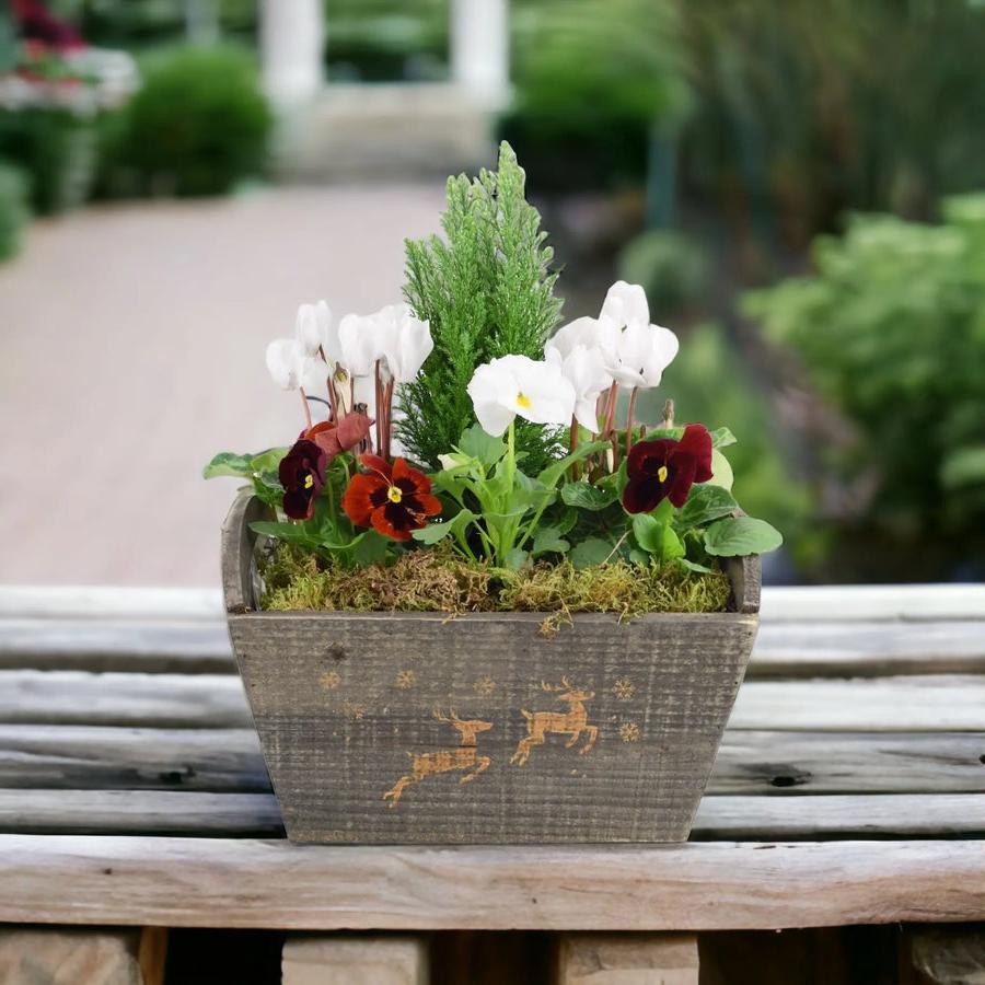 Christmas Outdoor Planted Wooden Reindeer Trough