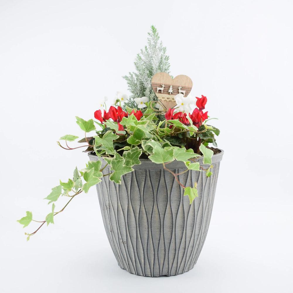 26cm Festive Outdoor Planted Container with Christmas Pick